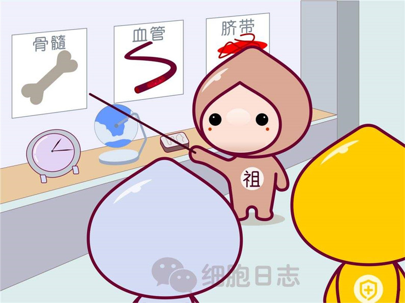 5f4382e4df8a9.jpg 5f4382e4df8a9.jpg