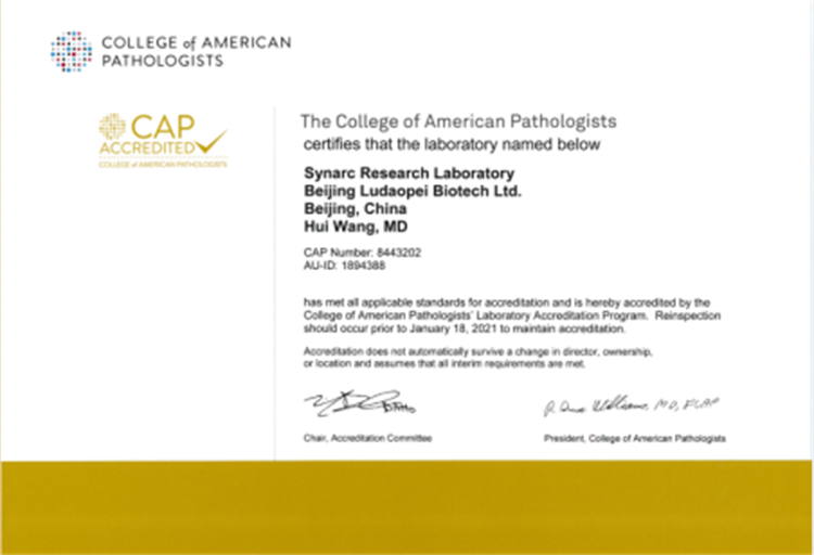 62298e9bd16fc.png 62298e9bd16fc.png