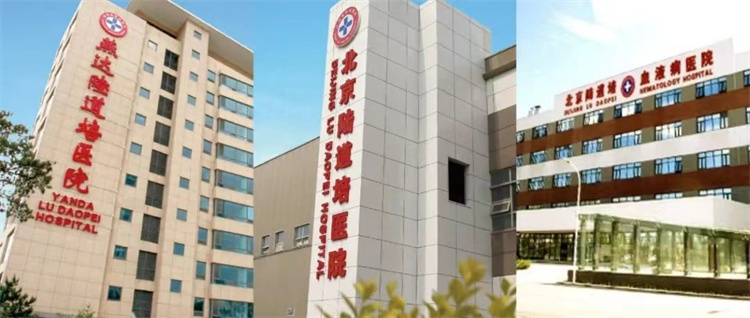 6509475623676.jpg 6509475623676.jpg