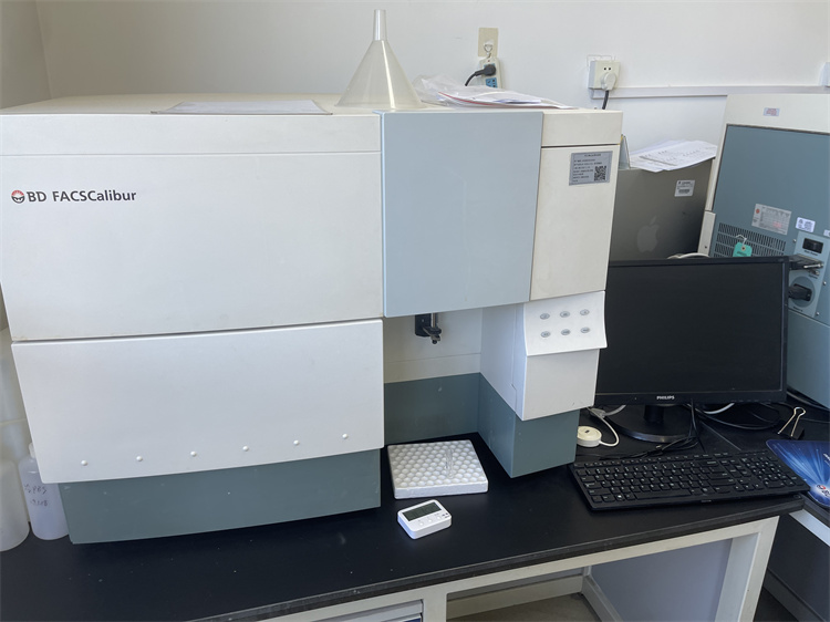 6535cf462876a.jpg 6535cf462876a.jpg