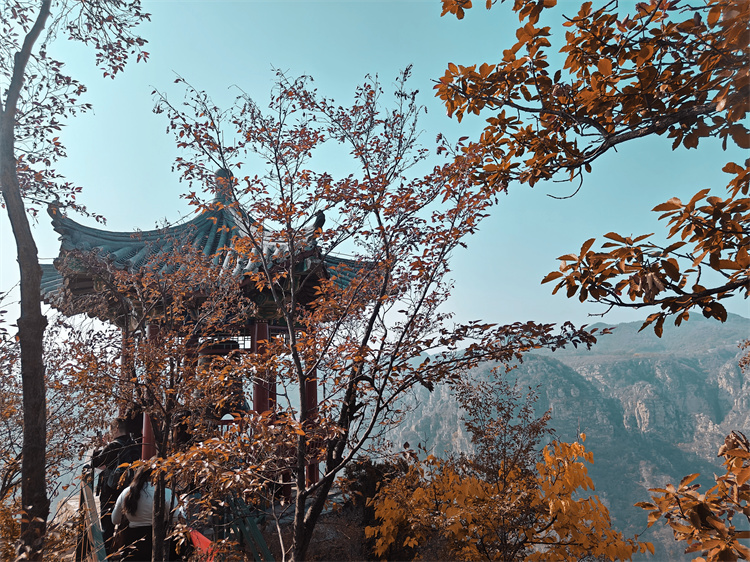 6548999b16807.jpg 6548999b16807.jpg