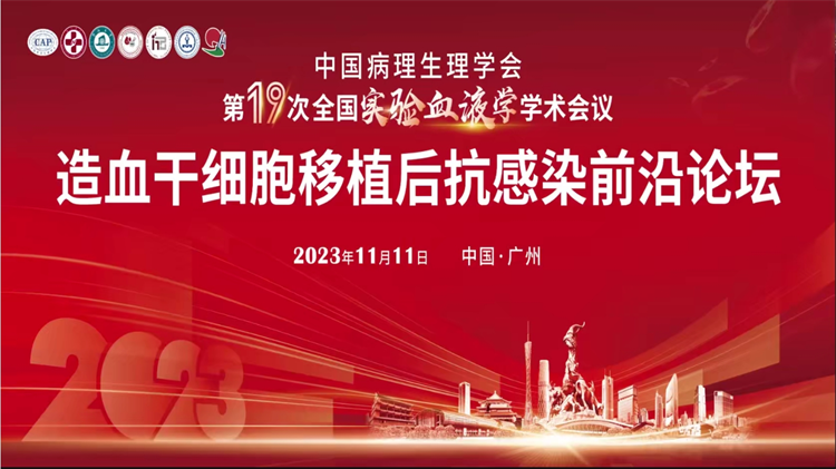 6554715219031.png 6554715219031.png