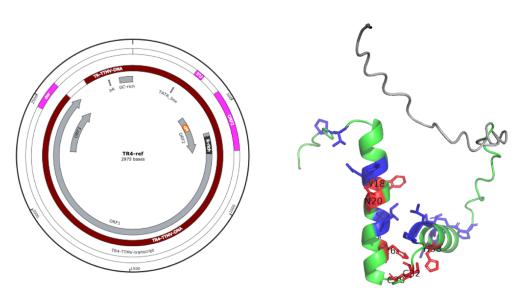 658d2890bb717.png 658d2890bb717.png