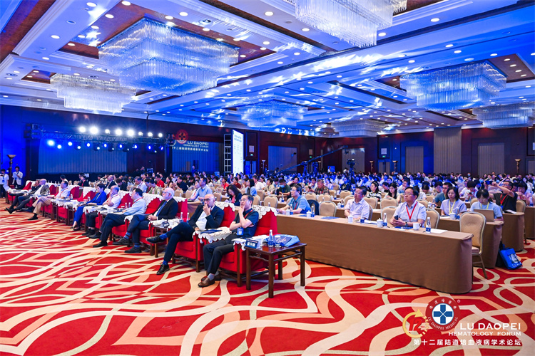 66cc2ef0681fe.jpg 66cc2ef0681fe.jpg