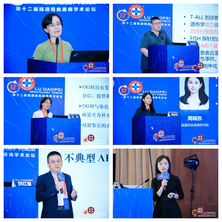 66cc4de067df9.jpg 66cc4de067df9.jpg