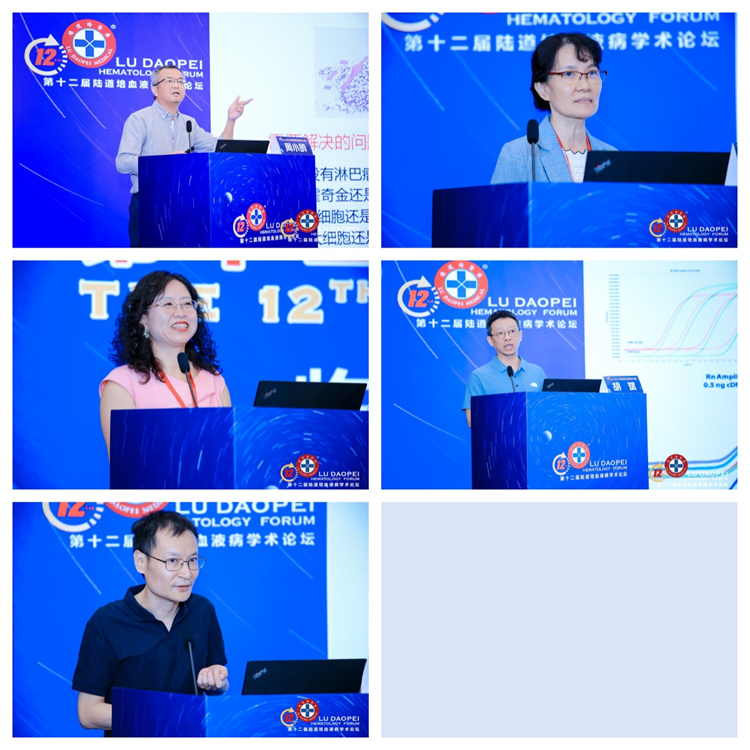 66cc4e1cbff01.jpg 66cc4e1cbff01.jpg