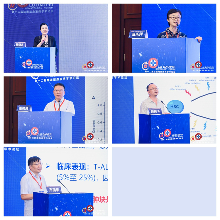 66cc4e89ad1ba.jpg 66cc4e89ad1ba.jpg