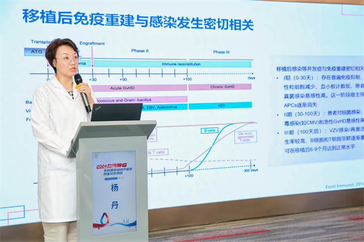 66d558ff40c0d.jpg 66d558ff40c0d.jpg