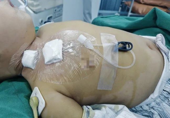 677647634c3dd.jpg 677647634c3dd.jpg