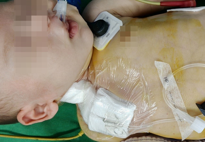 677647680c5e9.jpg 677647680c5e9.jpg