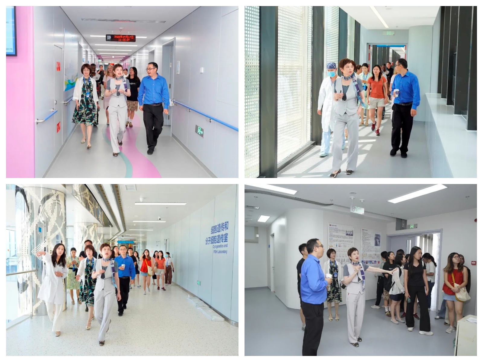 687a133d6badf.jpg 687a133d6badf.jpg