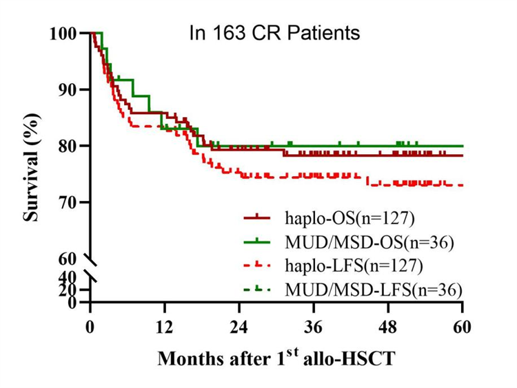 694506aca5b61.png 694506aca5b61.png